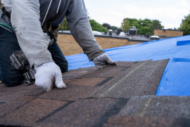 Best Storm Damage Roof Repair  in Lovettsville, VA